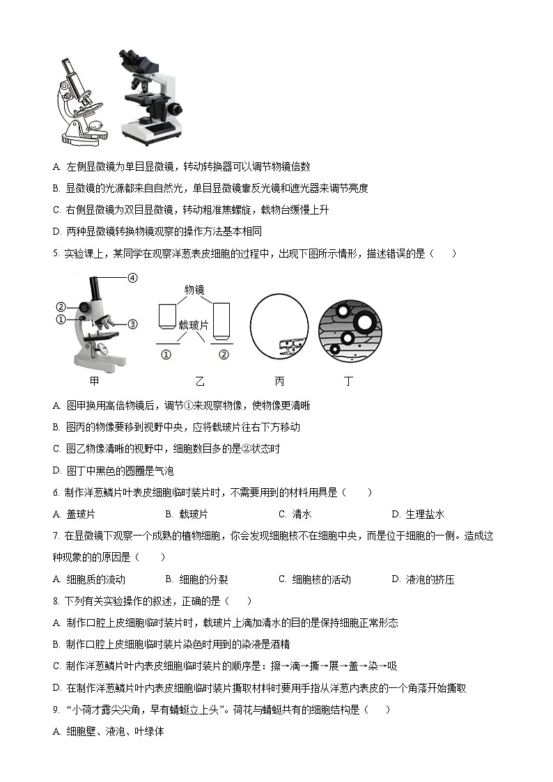 陕西省咸阳市实验中学2024-2025学年七年级上学期期中生物试题（原卷版）-A4第2页
