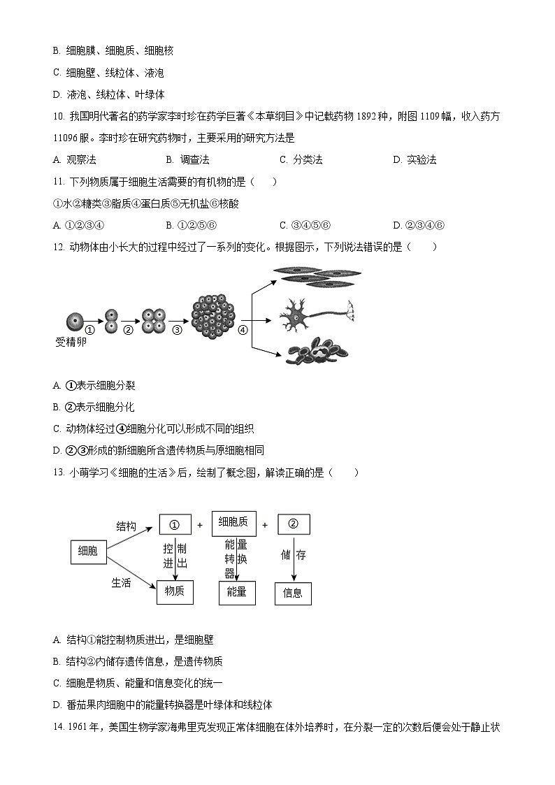 陕西省咸阳市实验中学2024-2025学年七年级上学期期中生物试题（原卷版）-A4第3页
