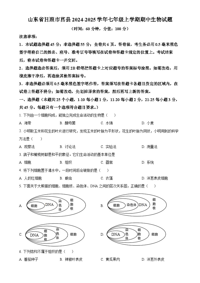 山东省日照市莒县2024-2025学年七年级上学期期中生物试题（原卷版）-A4第1页