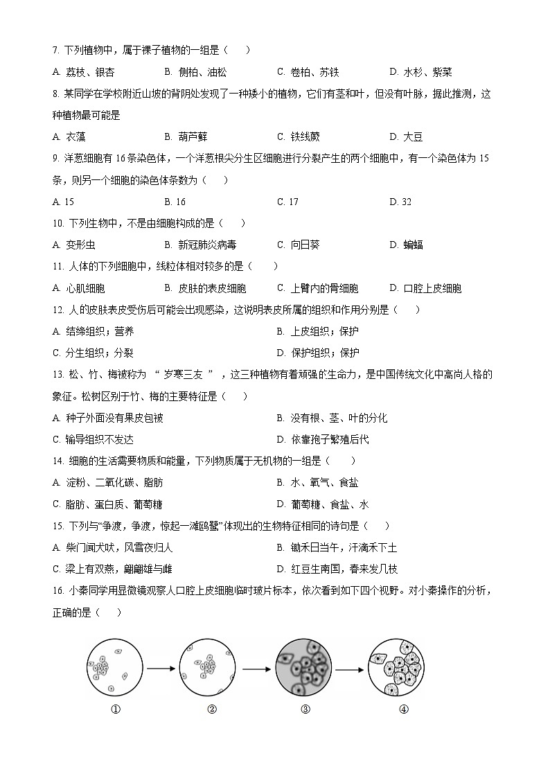 山东省日照市莒县2024-2025学年七年级上学期期中生物试题（原卷版）-A4第2页