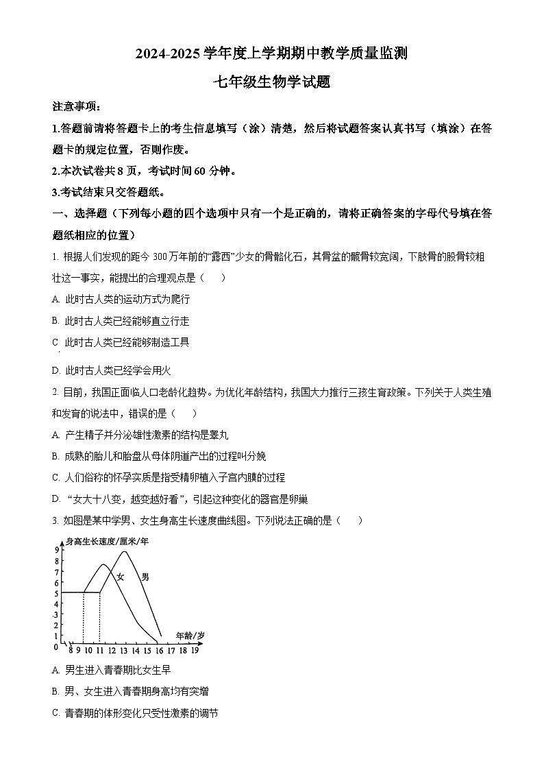 山东省泰安市肥城市2024-2025学年七年级上学期期中生物学试题（原卷版）-A4第1页