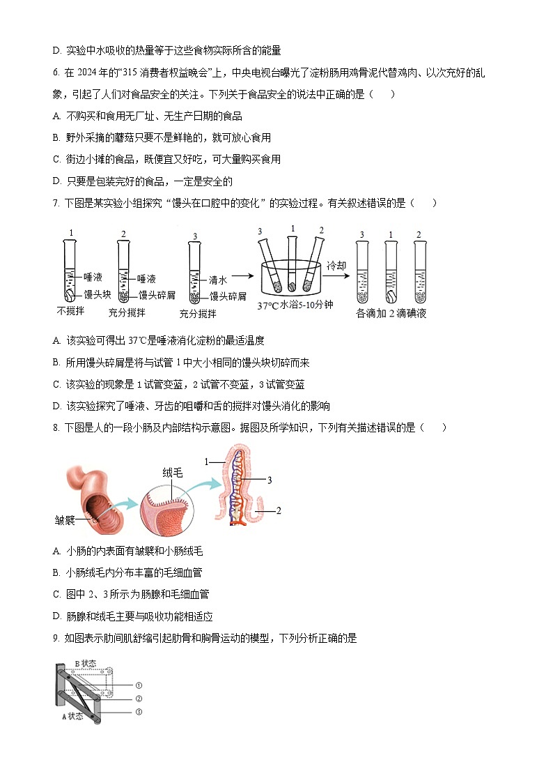 山东省泰安市肥城市2024-2025学年七年级上学期期中生物学试题（原卷版）-A4第3页