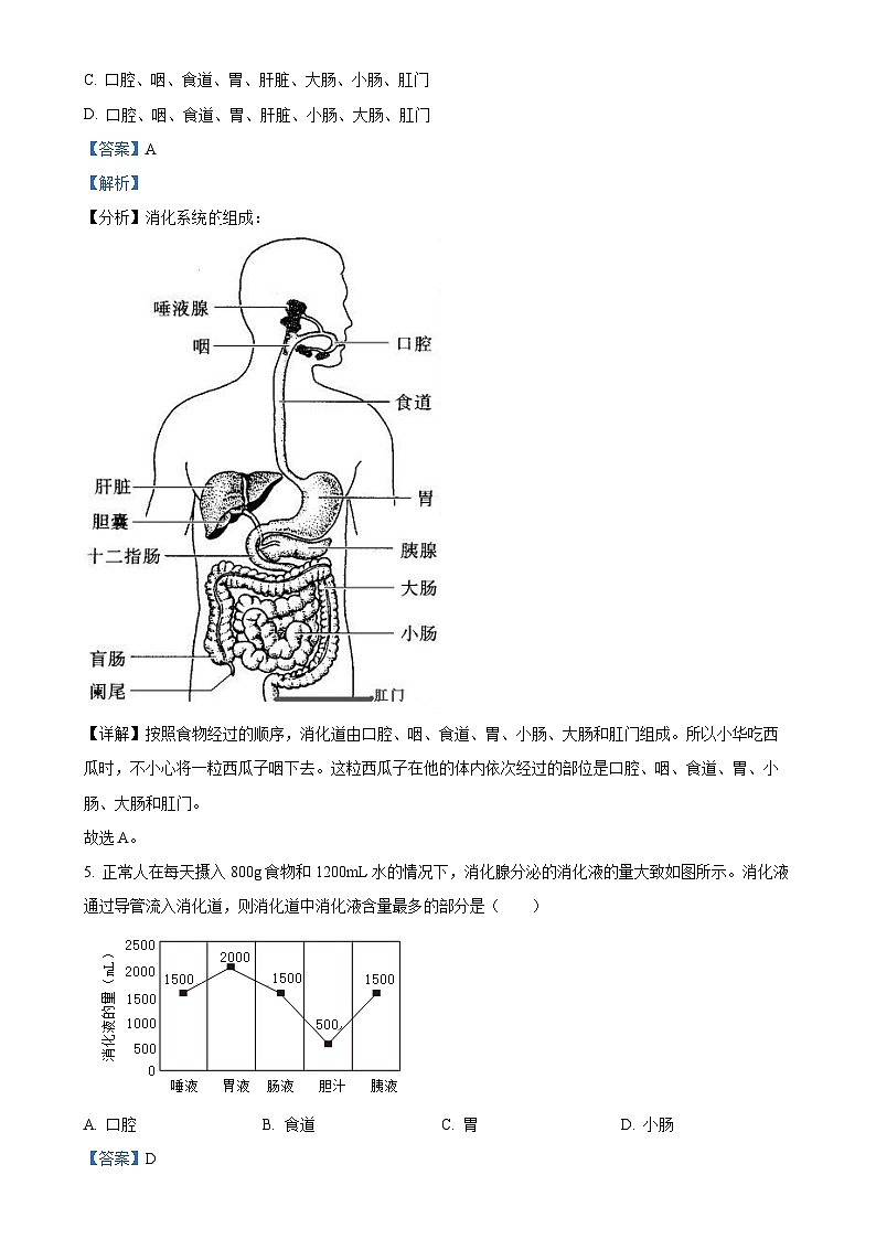 山东省泰安市宁阳县2024-2025学年七年级上学期期中生物学试题（解析版）-A4第3页