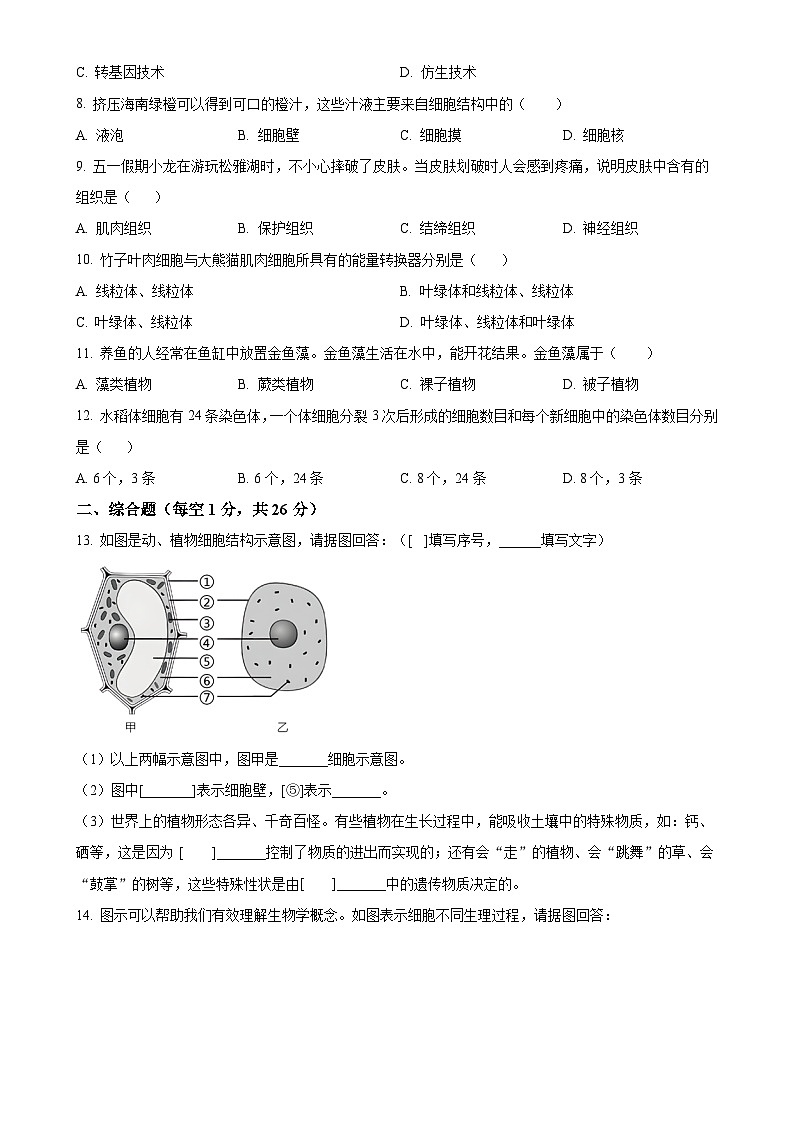辽宁省辽阳市第一中学2024-2025学年七年级上学期期中生物试题（原卷版）-A4第2页