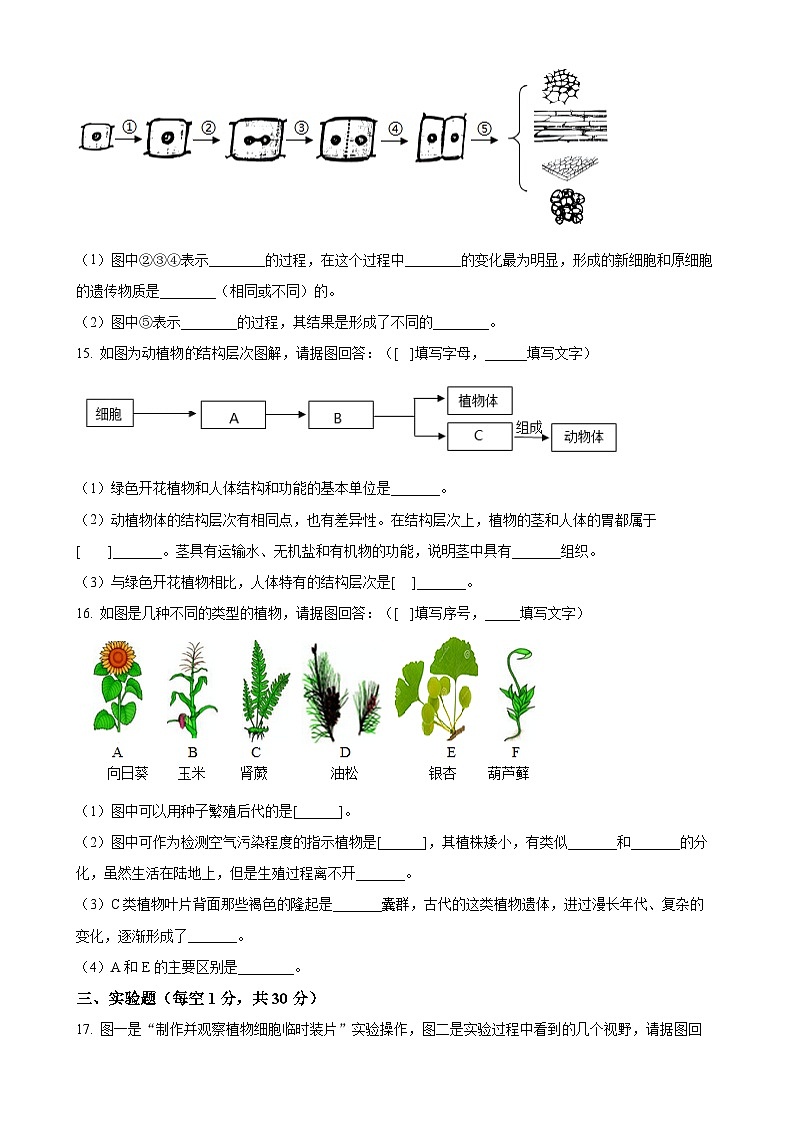 辽宁省辽阳市第一中学2024-2025学年七年级上学期期中生物试题（原卷版）-A4第3页