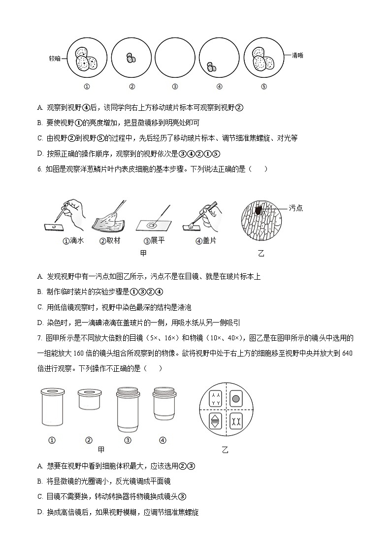 山东省滨州市无棣县2024-2025学年七年级上学期期中生物学试题（A）（原卷版）-A4第2页
