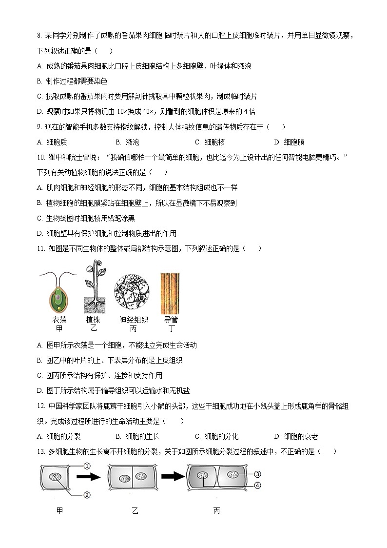 山东省滨州市无棣县2024-2025学年七年级上学期期中生物学试题（A）（原卷版）-A4第3页