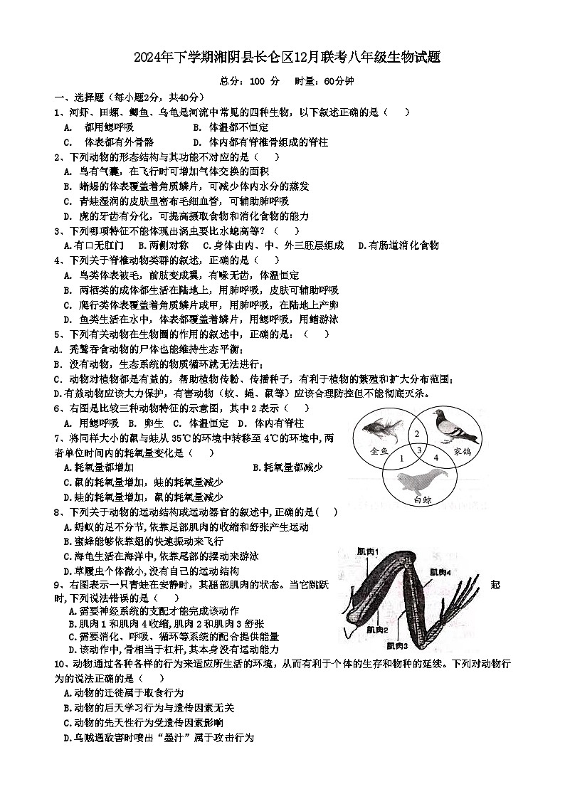 2024年下学期湘阴县长仑区12月联考八年级生物试题-A4第1页