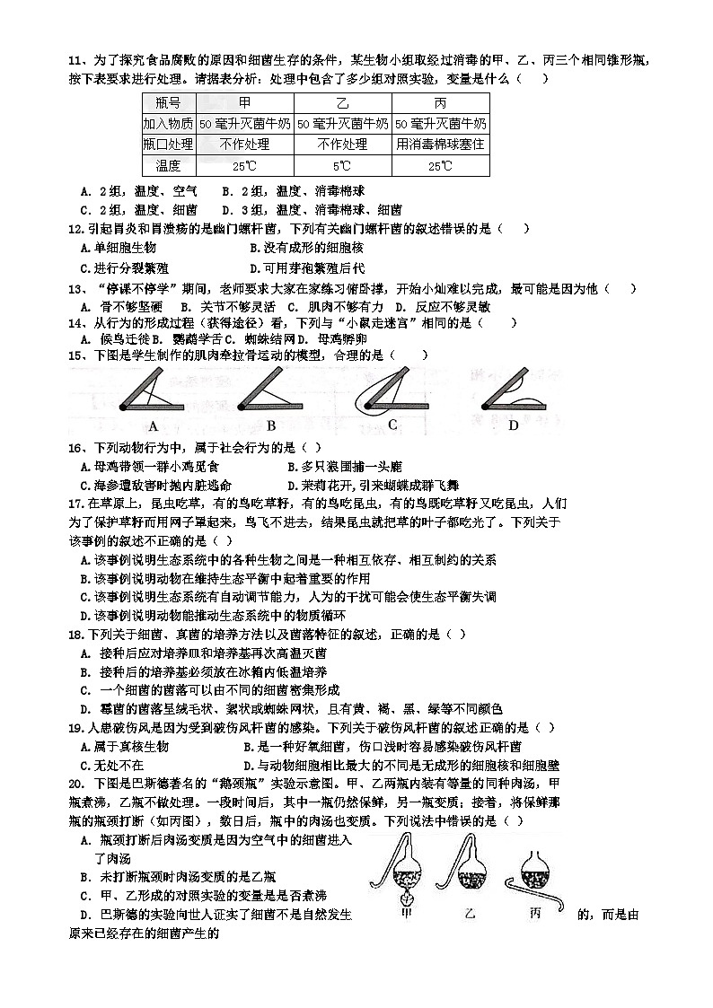 2024年下学期湘阴县长仑区12月联考八年级生物试题-A4第2页