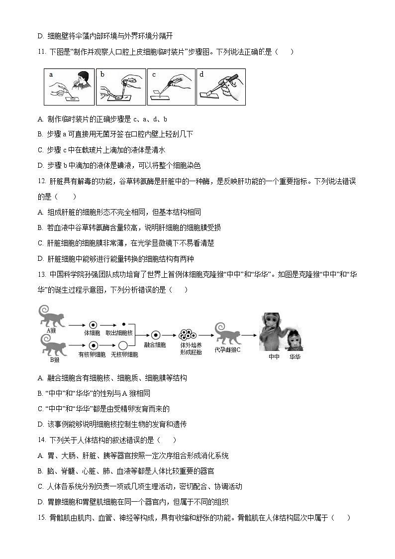 山东省青岛市城阳区2024-2025学年七年级上学期期中生物学试题（原卷版）-A4第3页