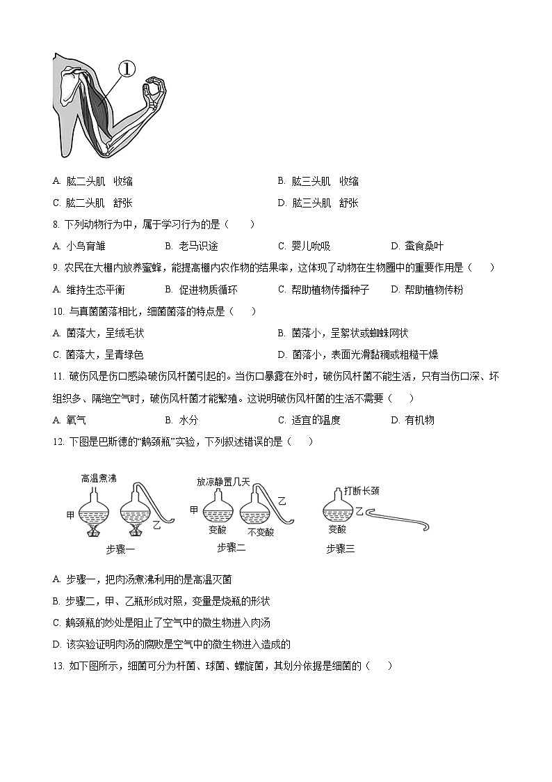 陕西省榆林市第十中学2023-2024学年八年级上学期12月月考生物试题（原卷版）-A4第2页