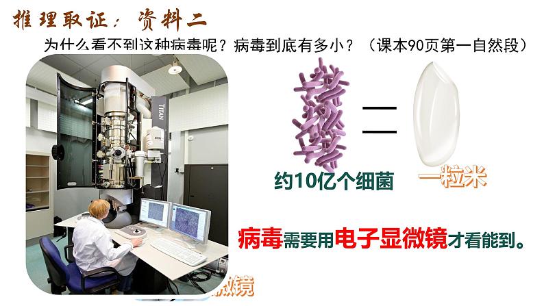 人教版生物八年级上册5.5《病毒》（课件）第8页