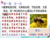 人教版生物八年级上册6.1.2《从种到界》教学课件