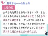 人教版生物八年级上册6.1.2《从种到界》教学课件