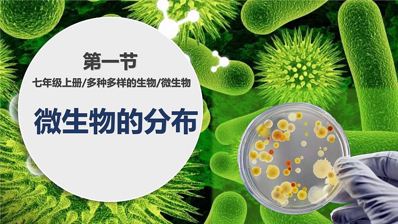 人教版生物七年级上册2.3.1《微生物的分布》课件第1页