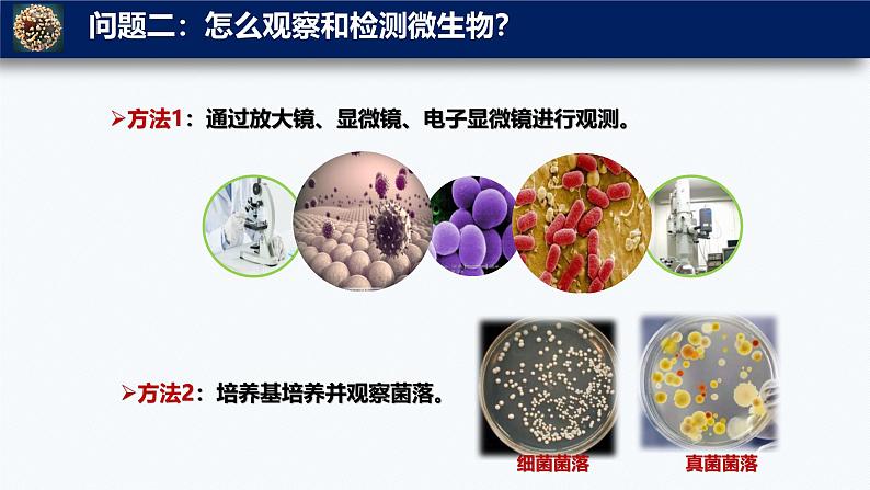 人教版生物七年级上册2.3.1《微生物的分布》课件第7页