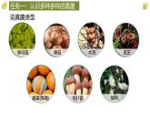 人教版生物七年级上册2.3.3《真菌》（课件）