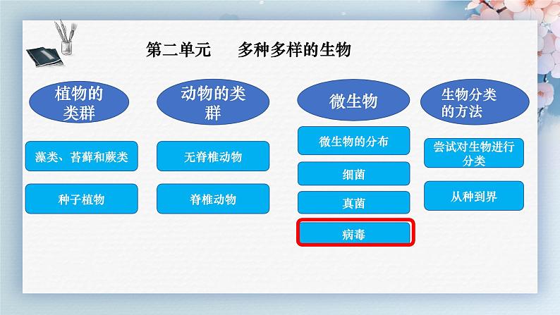 人教版生物七年级上册2.3.4《病毒》（教学课件）第1页