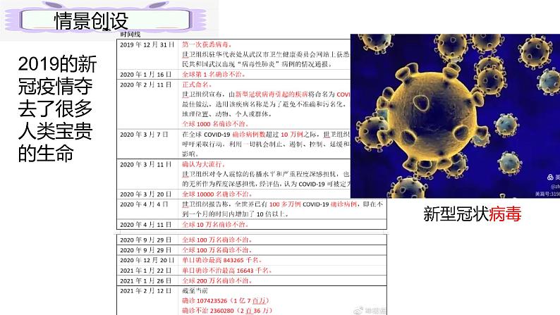 人教版生物七年级上册2.3.4《病毒》（课件）第4页