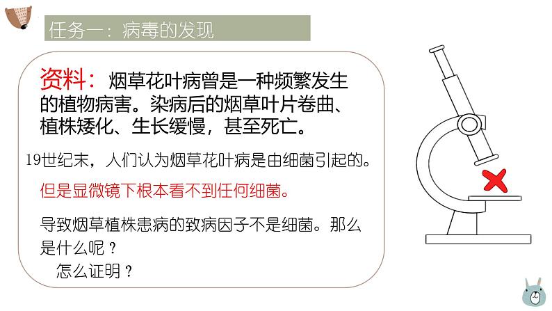 人教版生物七年级上册2.3.4《病毒》教学课件第4页