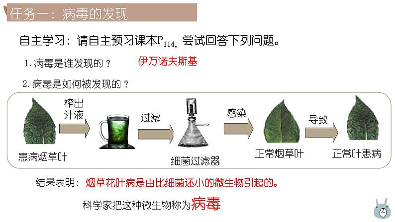 人教版生物七年级上册2.3.4《病毒》教学课件第5页