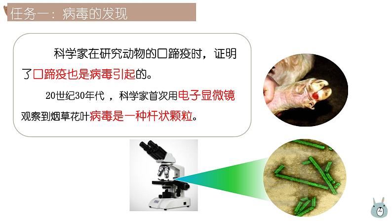 人教版生物七年级上册2.3.4《病毒》教学课件第6页