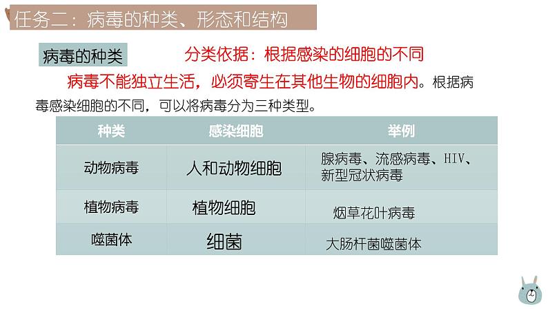 人教版生物七年级上册2.3.4《病毒》教学课件第8页