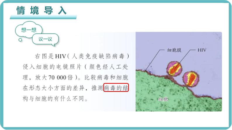 人教版生物七年级上册2.3.4《病毒》课件第1页