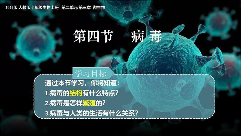 人教版生物七年级上册2.3.4《病毒》课件第2页