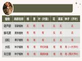 人教版生物七年级上册2.4.1《尝试对生物进行分类》（教学课件）