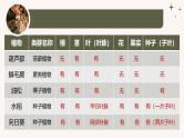 人教版生物七年级上册2.4.1《尝试对生物进行分类》（教学课件）