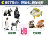 人教版生物七年级上册2.4.1《尝试对生物进行分类》（课件）