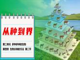 人教版生物七年级上册2.4.2《从种到界》（教学课件）