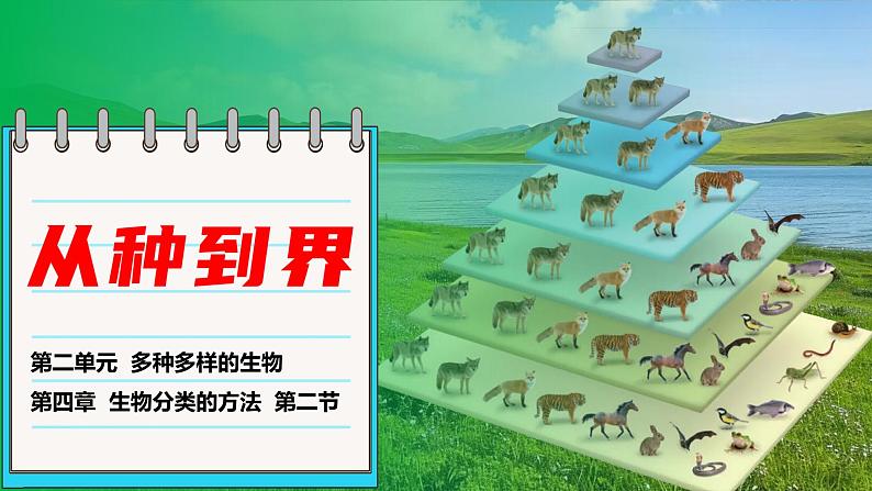 人教版生物七年级上册2.4.2《从种到界》（教学课件）第1页