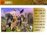 人教版生物七年级上册2.4.2《从种到界》（教学课件）