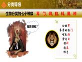 人教版生物七年级上册2.4.2《从种到界》（教学课件）