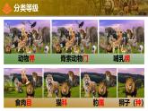 人教版生物七年级上册2.4.2《从种到界》（教学课件）