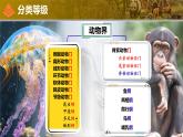 人教版生物七年级上册2.4.2《从种到界》（教学课件）