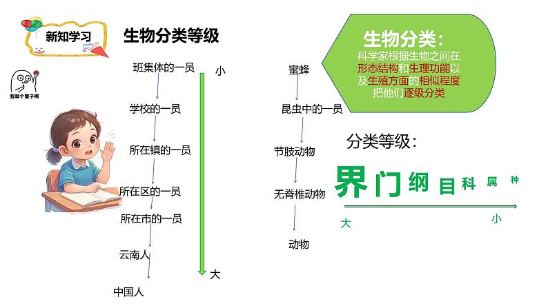 人教版生物七年级上册2.4.2《生物分类的方法——从种到界》课件第4页