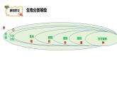 人教版生物七年级上册2.4.2《生物分类的方法——从种到界》课件