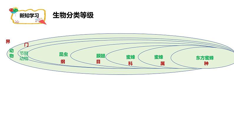 人教版生物七年级上册2.4.2《生物分类的方法——从种到界》课件第5页