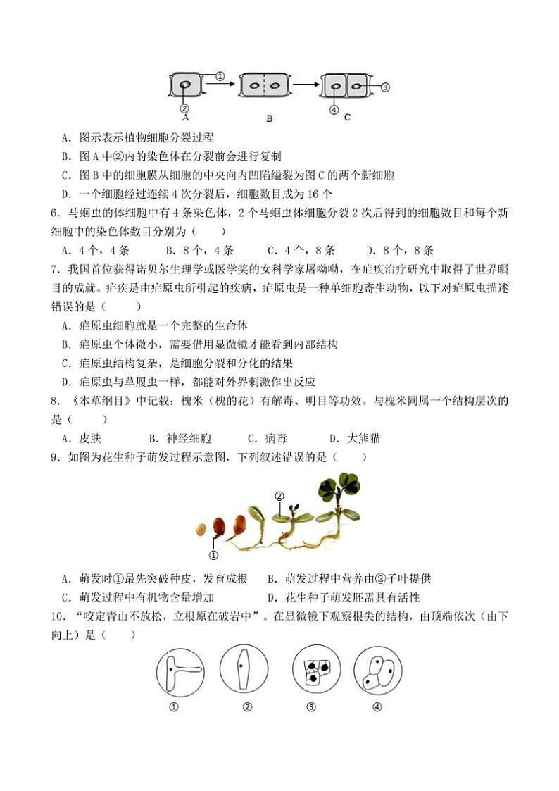 2024～2025学年四川省自贡市富顺县第二中学校八年级(上)12月月考生物试卷(含答案)第2页