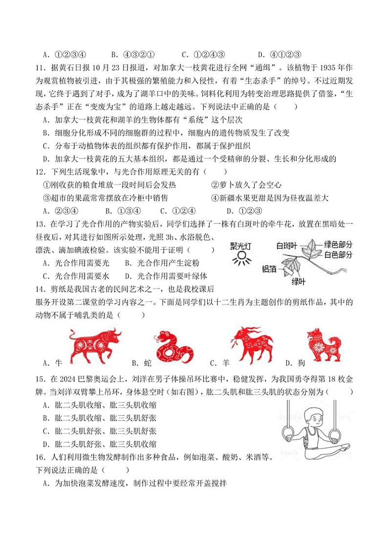 2024～2025学年四川省自贡市富顺县第二中学校八年级(上)12月月考生物试卷(含答案)第3页