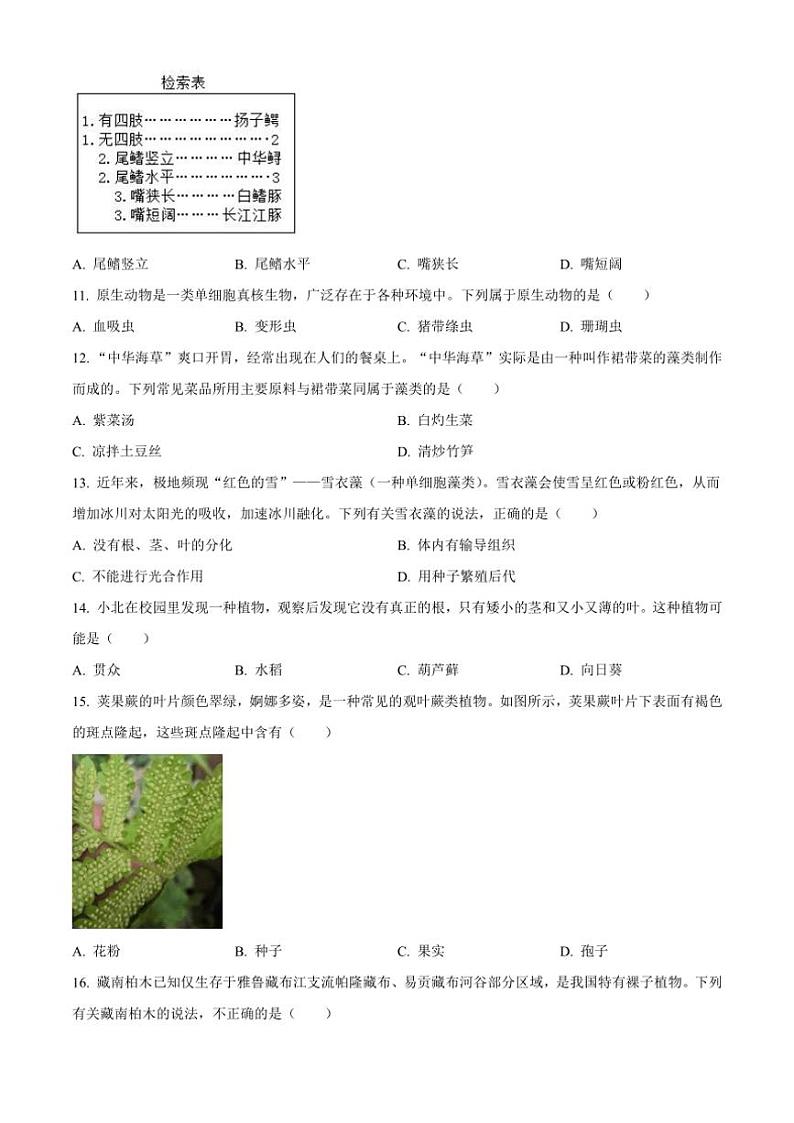2024～2025学年河北省廊坊市香河县八年级上12月第三次学情评估生物试卷(含答案)第3页
