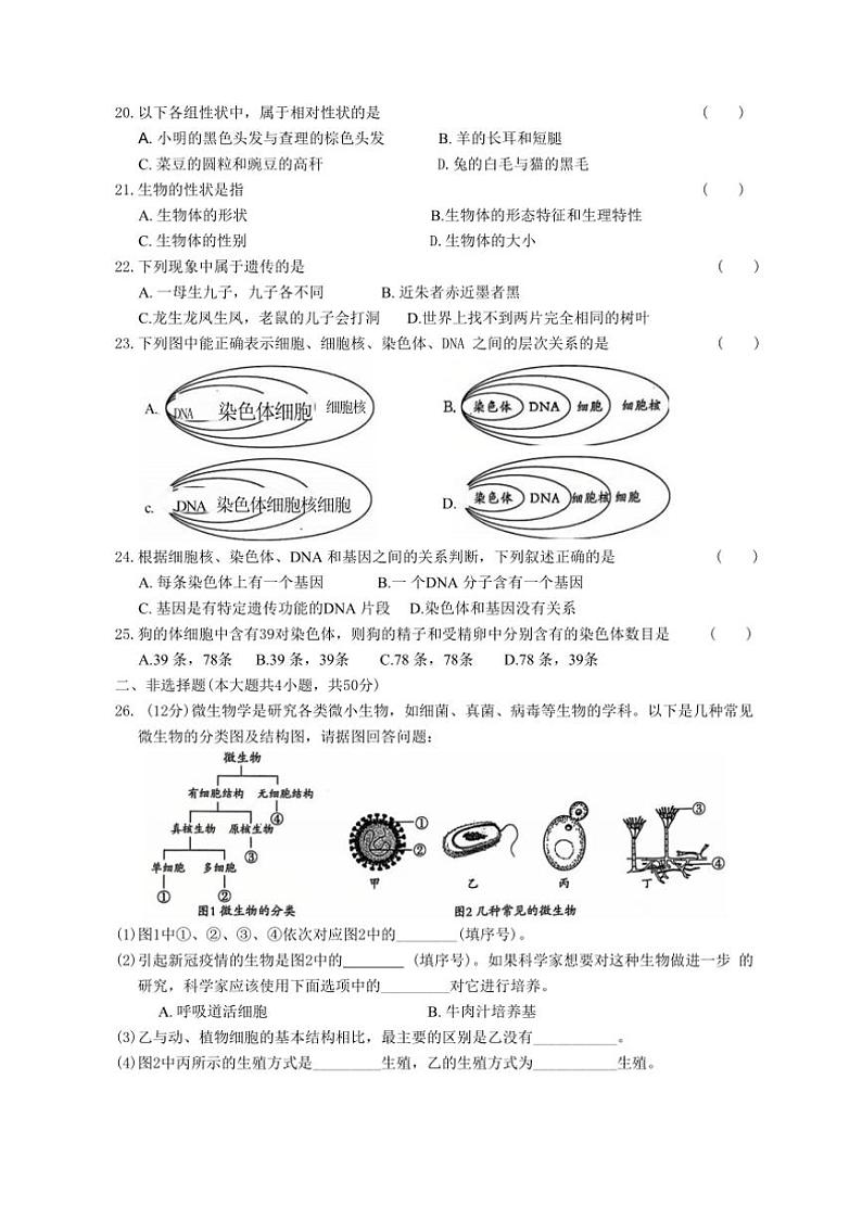 2024～2025学年安徽省淮北市“五校联考(月考)”八年级(上)12月月考生物试卷(含答案)第3页