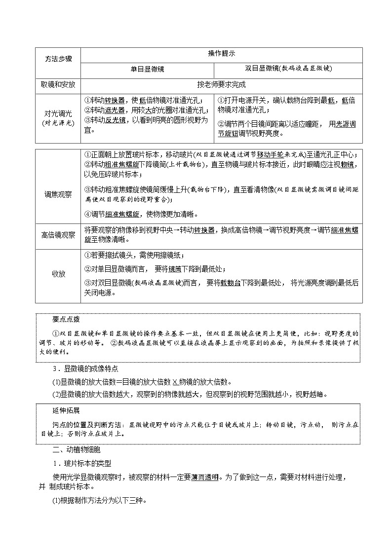 人教版（2024新版）生物七年级上册期末复习全册知识点总结第3页