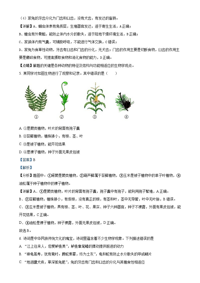 湖南省永州市京华中学2023-2024学年八年级上学期第三次月考生物试题（解析版）-A4第3页