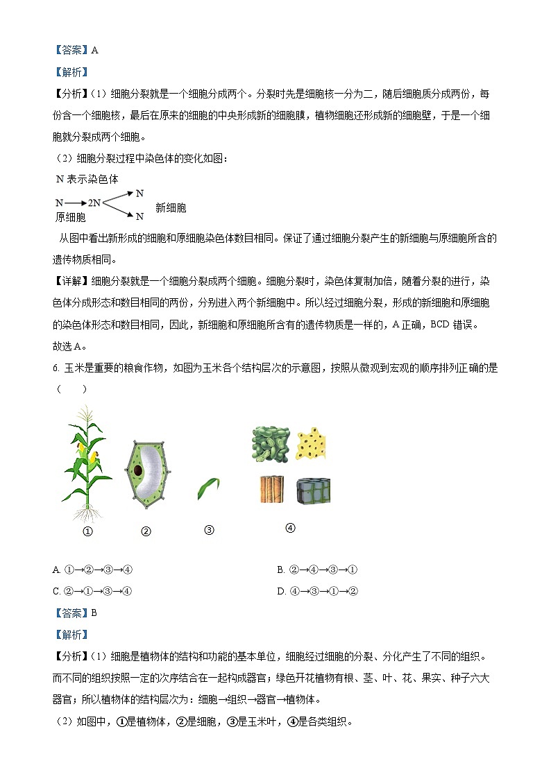 辽宁省大连市甘井子区2024-2025学年七年级上学期期中生物学试题（解析版）-A4第3页