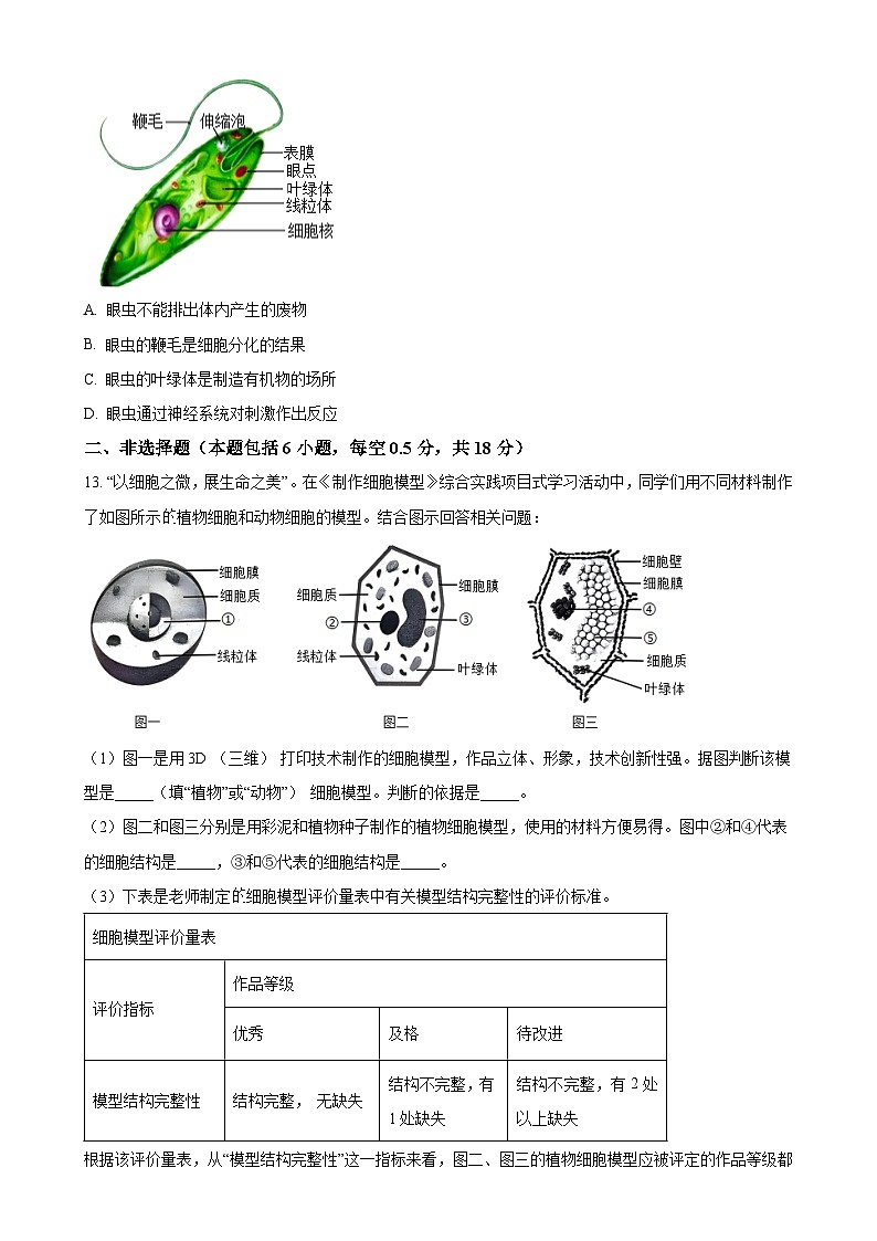 辽宁省大连市甘井子区2024-2025学年七年级上学期期中生物学试题（原卷版）-A4第3页