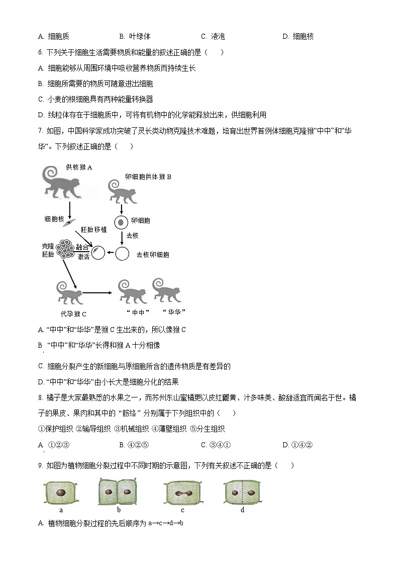 辽宁省阜新市实验中学2024-2025学年七年级上学期期中生物试题（原卷版）-A4第2页